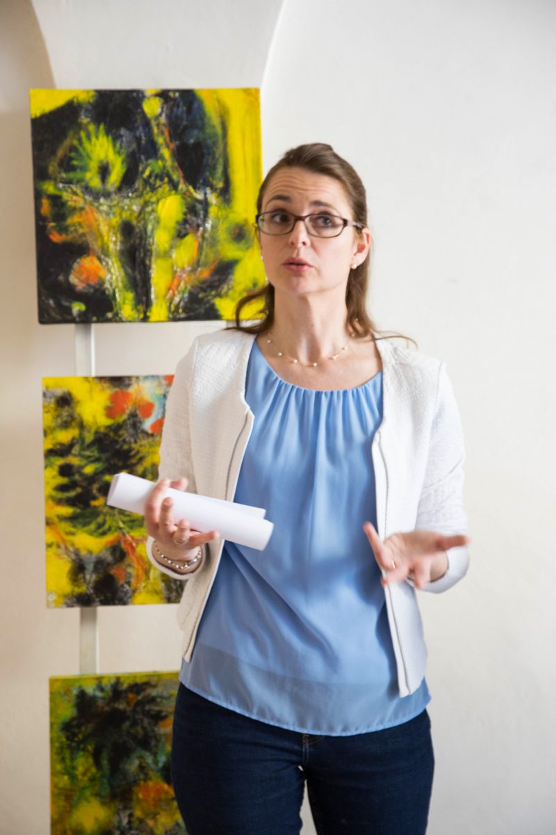 Ausstellung Bad Fischau Brunn 2025